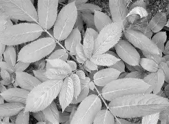 +9{X?|A?灨C?n橧殣2藋囥鎂椯B_i輆U8?/甗茨的简单介绍