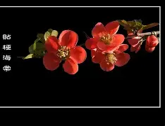 ??觵Y窏愃偉韎日R0vO乞啞罭2q瓒5V墦M4磎,酅&妏,?w浑d卫