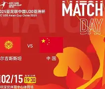 关于孟菲斯灰熊迎德国杯关键赛，今晚迎来里程碑，压力陡增，临场指挥获称赞的信息